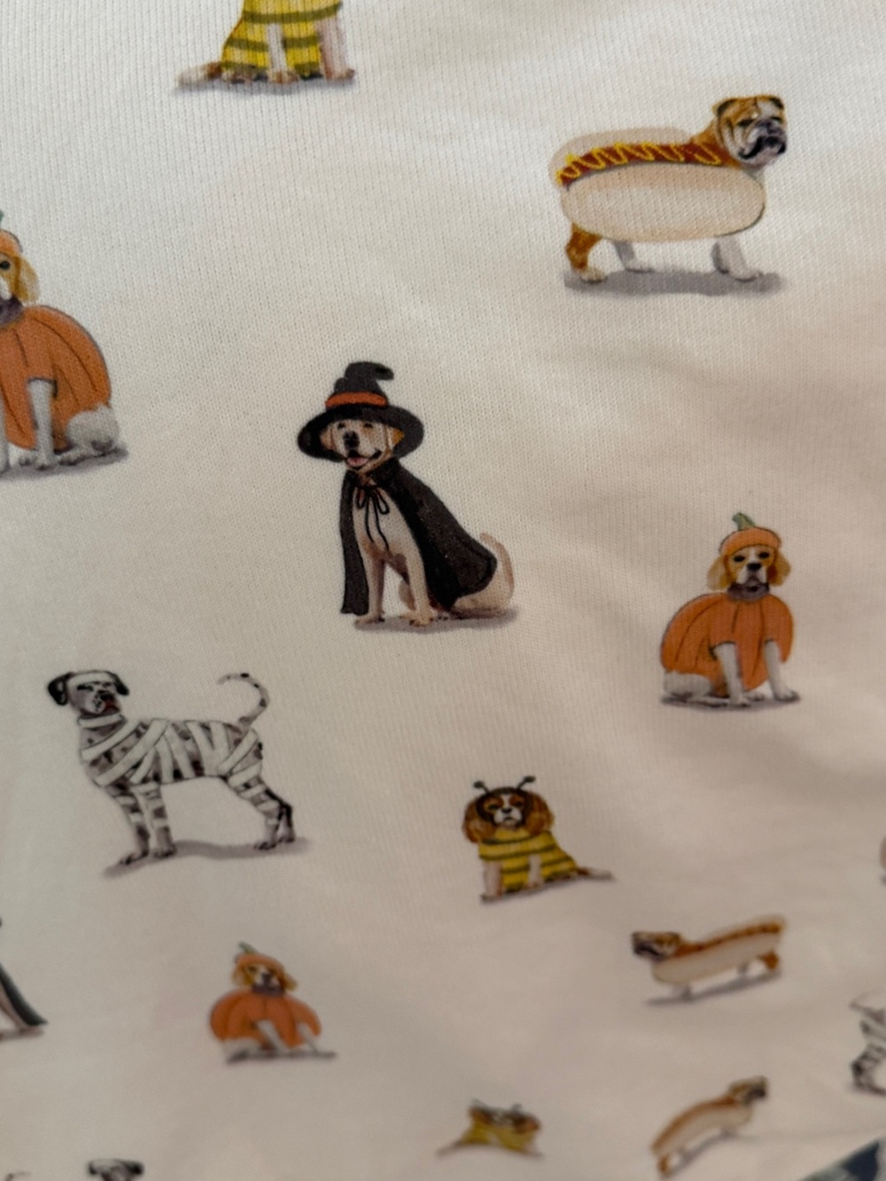 Z supply 2 piece set ,Love Pup tank med & shorts small NWT perfect for Halloween - Picture 8 of 12